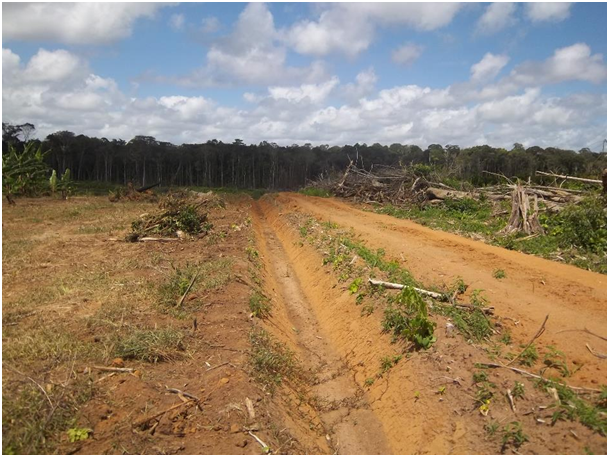 Fig. 8 : Exemple de défriche de forêt amazonienne pour l'aménagement agricole – Crédit : EPAG
